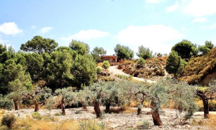 Revente - country_house - Murcia - Costa Blanca Sur