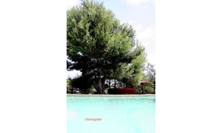 Revente - country_house - Murcia - Costa Blanca Sur