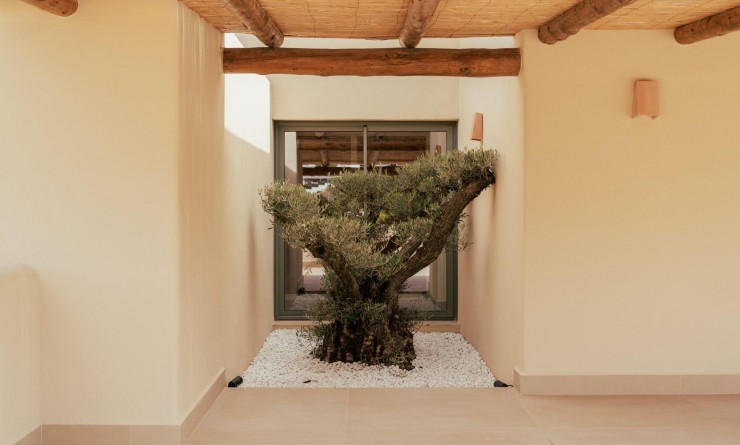 Nouvelle construction - Villa - Jávea Xàbia - Valle del Sol