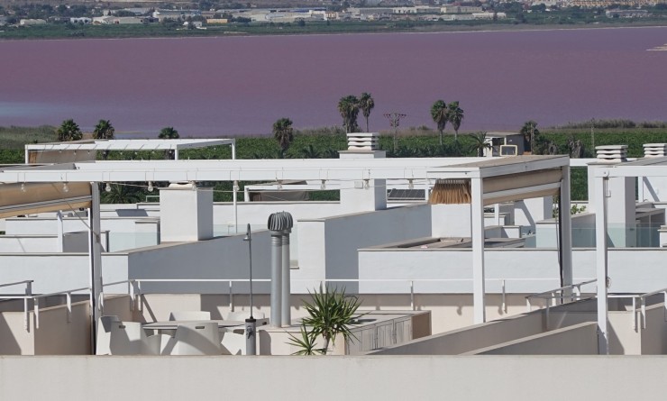 Wederverkoop - Penthouse - Torrevieja - Los balcones