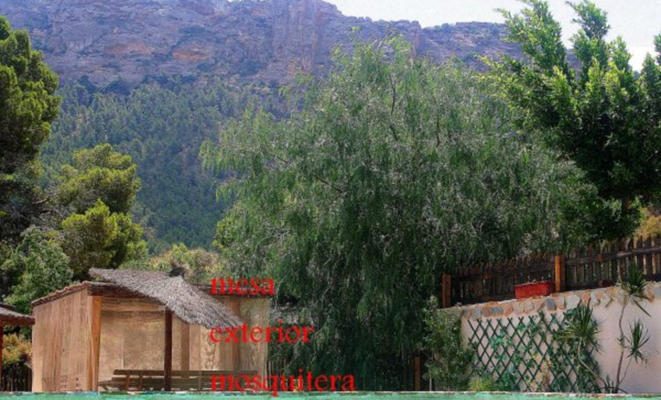 Revente - Finca - Gea Y Truyols