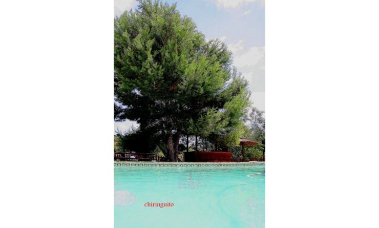 Revente - Finca - Gea Y Truyols