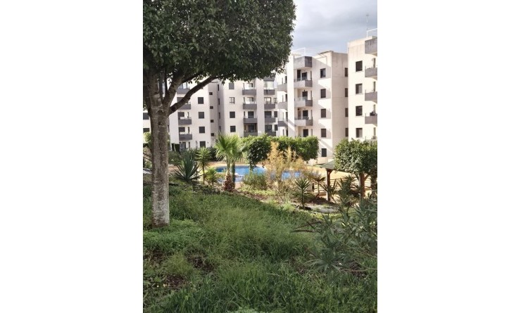 Wederverkoop - Appartement - San Miguel de Salinas