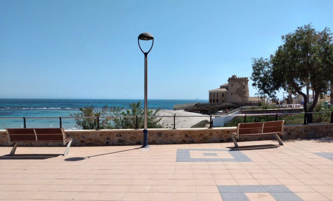 Nieuwbouw woningen - Villa - Pilar de la Horadada - Las Higuericas