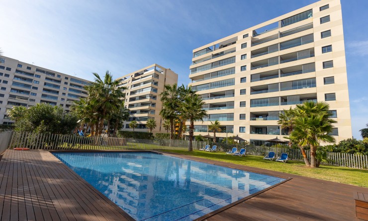 Wederverkoop - Appartement - Torrevieja - Punta prima