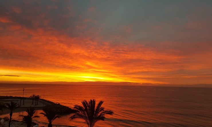 Wederverkoop - Appartement - Torrevieja - Playa del Cura