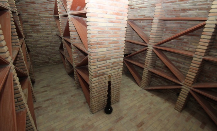 Wederverkoop - Finca - Murcia - Costa Blanca Sur