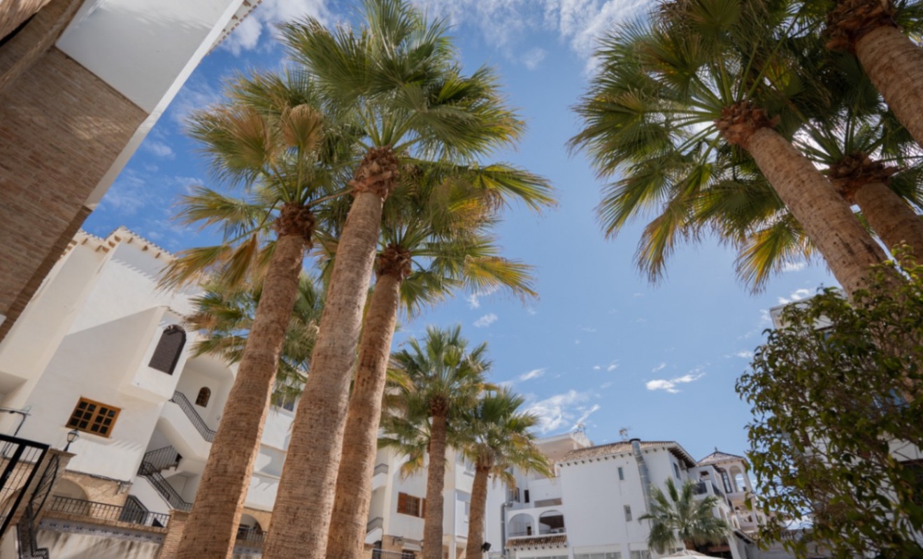 Wederverkoop - Appartement - Orihuela - Costa Blanca Sur