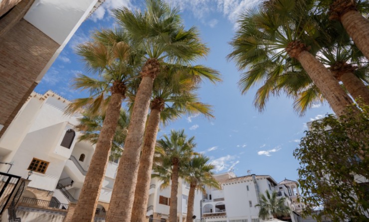 Wederverkoop - Appartement - Orihuela - Costa Blanca Sur