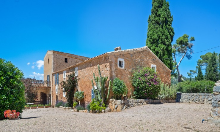 Revente - Finca / Country House - Felanitx - Mallorca