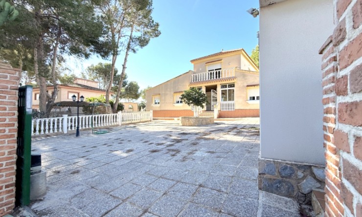 Sale - detached_house - Pilar de la Horadada - Costa Blanca Sur