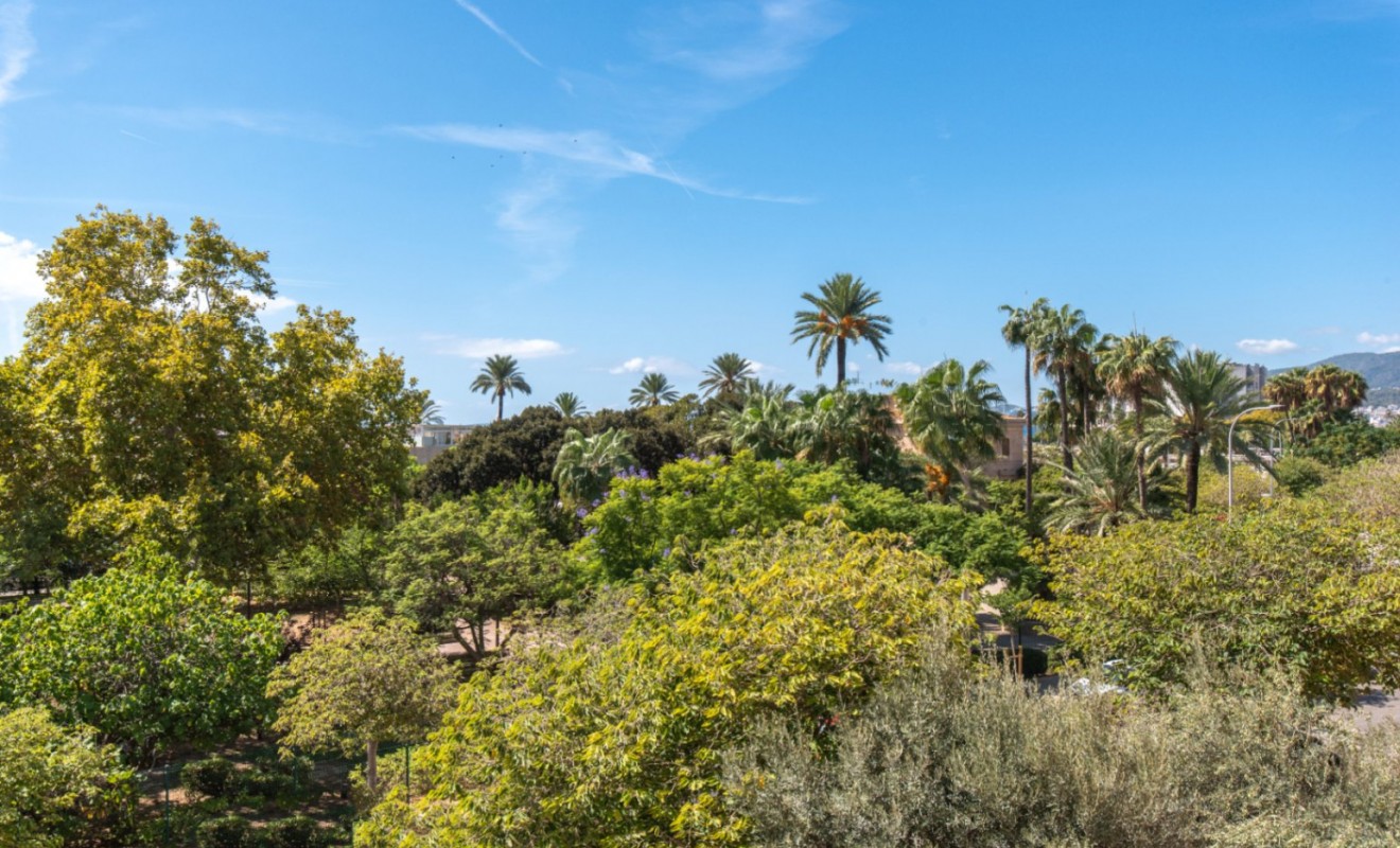 Revente - Apartment / flat - Palma de Mallorca - Mallorca