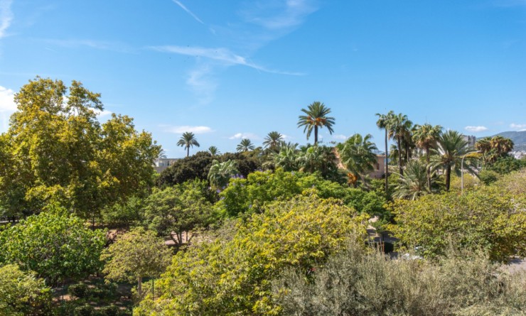 Revente - Apartment / flat - Palma de Mallorca - Mallorca