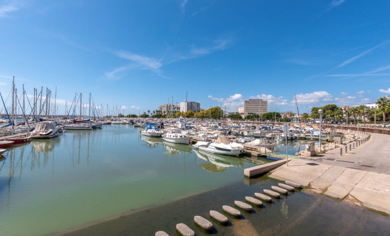Revente - Apartment / flat - Palma de Mallorca - Mallorca