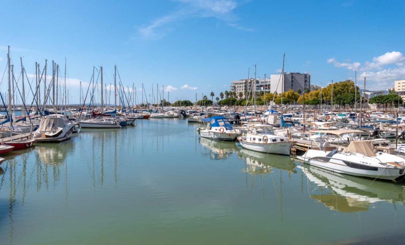 Revente - Apartment / flat - Palma de Mallorca - Mallorca