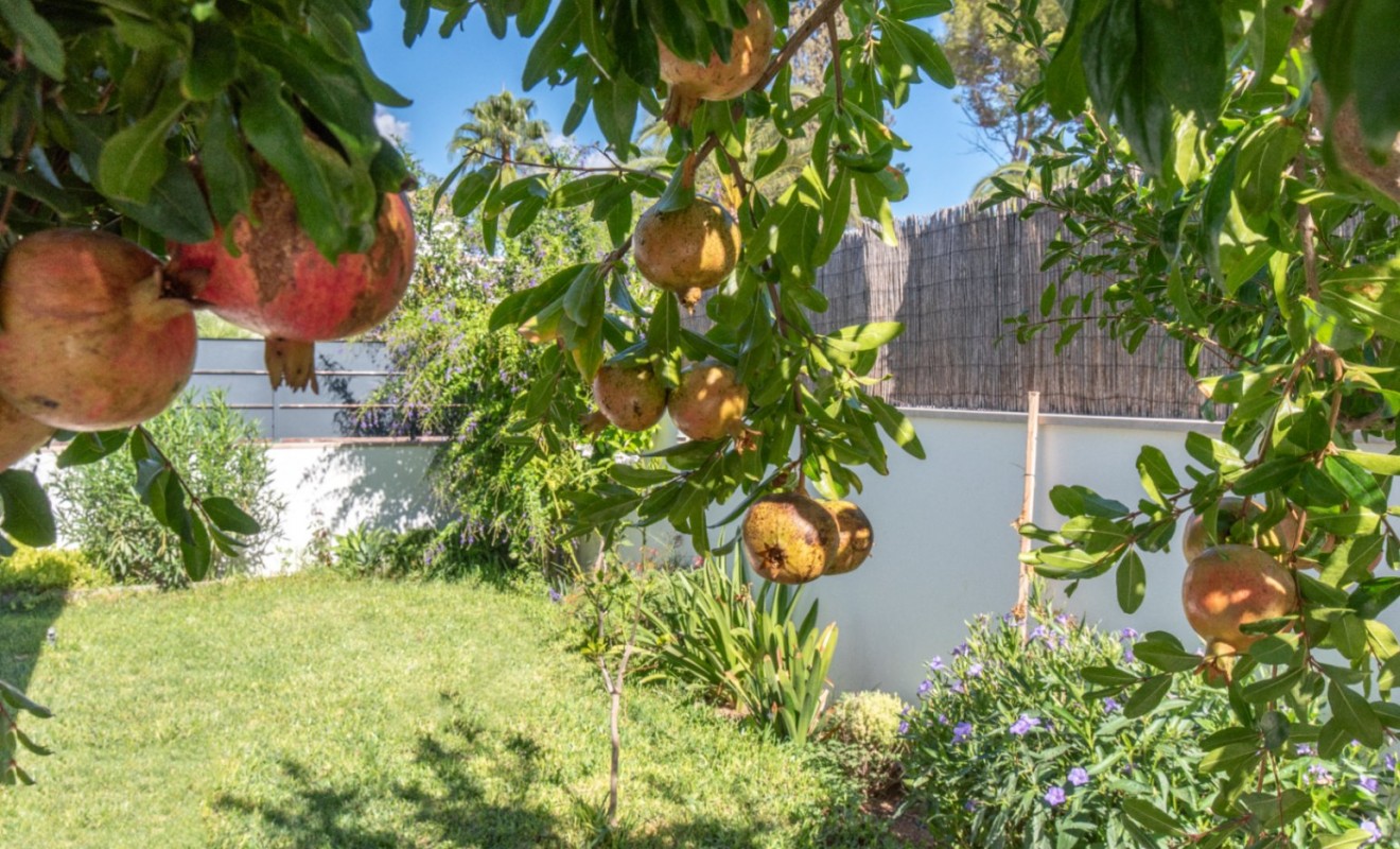 Wederverkoop - Villa - Marrachí - Mallorca