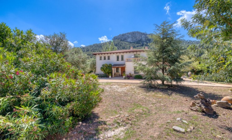 Revente - Villa - Esporlas - Mallorca