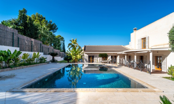 Revente - Villa - Calviá - Mallorca