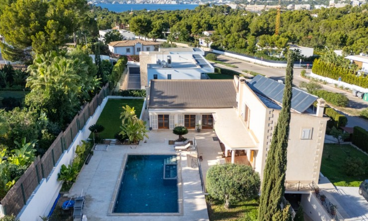 Revente - Villa - Calviá - Mallorca