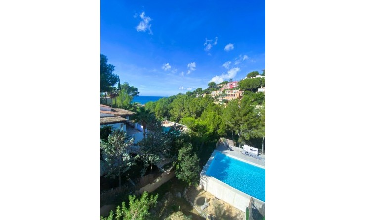 Revente - Villa - Calviá - Mallorca