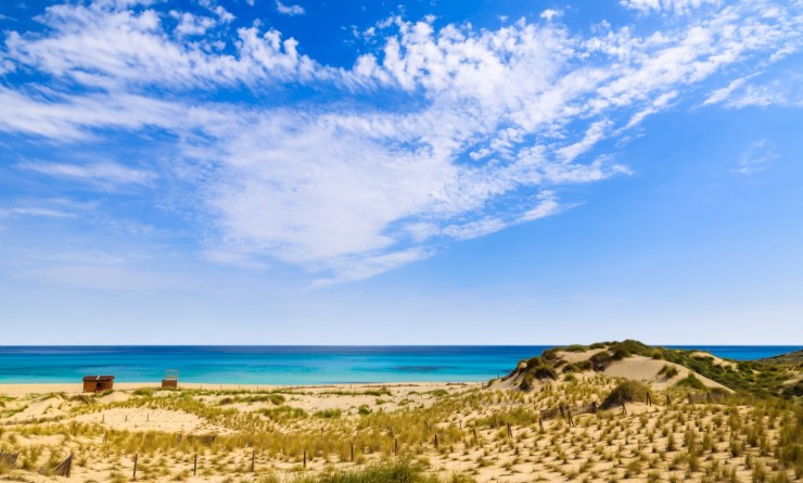 New Build - Apartment / flat - Capdepera - Mallorca