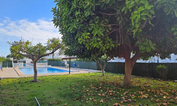 Wederverkoop - Appartement - Torrevieja - Costa Blanca Sur