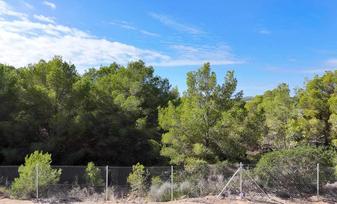 Nouvelle construction - Parcelle / Terrain - Calviá - Mallorca