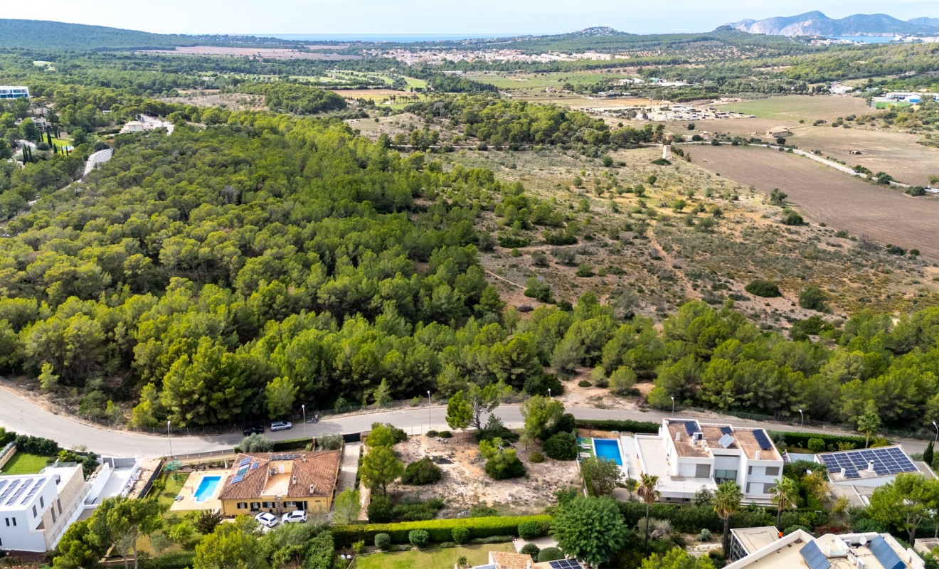 Nouvelle construction - Parcelle / Terrain - Calviá - Mallorca