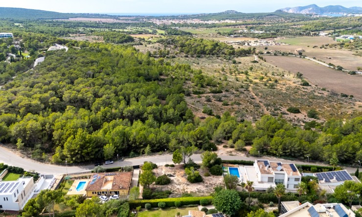 Nouvelle construction - Parcelle / Terrain - Calviá - Mallorca