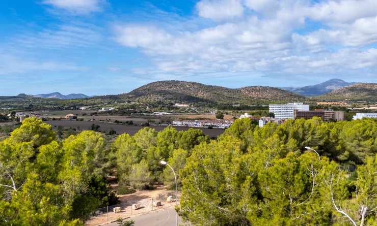 Nouvelle construction - Parcelle / Terrain - Calviá - Mallorca