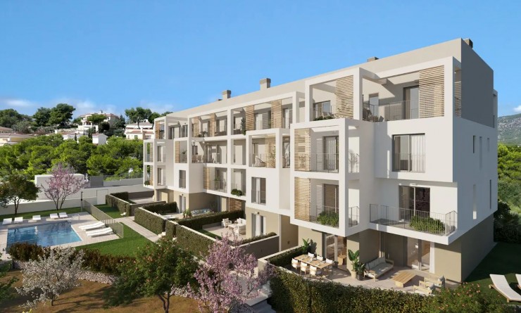 Nouvelle construction - Apartment / flat - Palma Nova - Mallorca