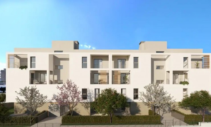 Nouvelle construction - Apartment / flat - Palma Nova - Mallorca