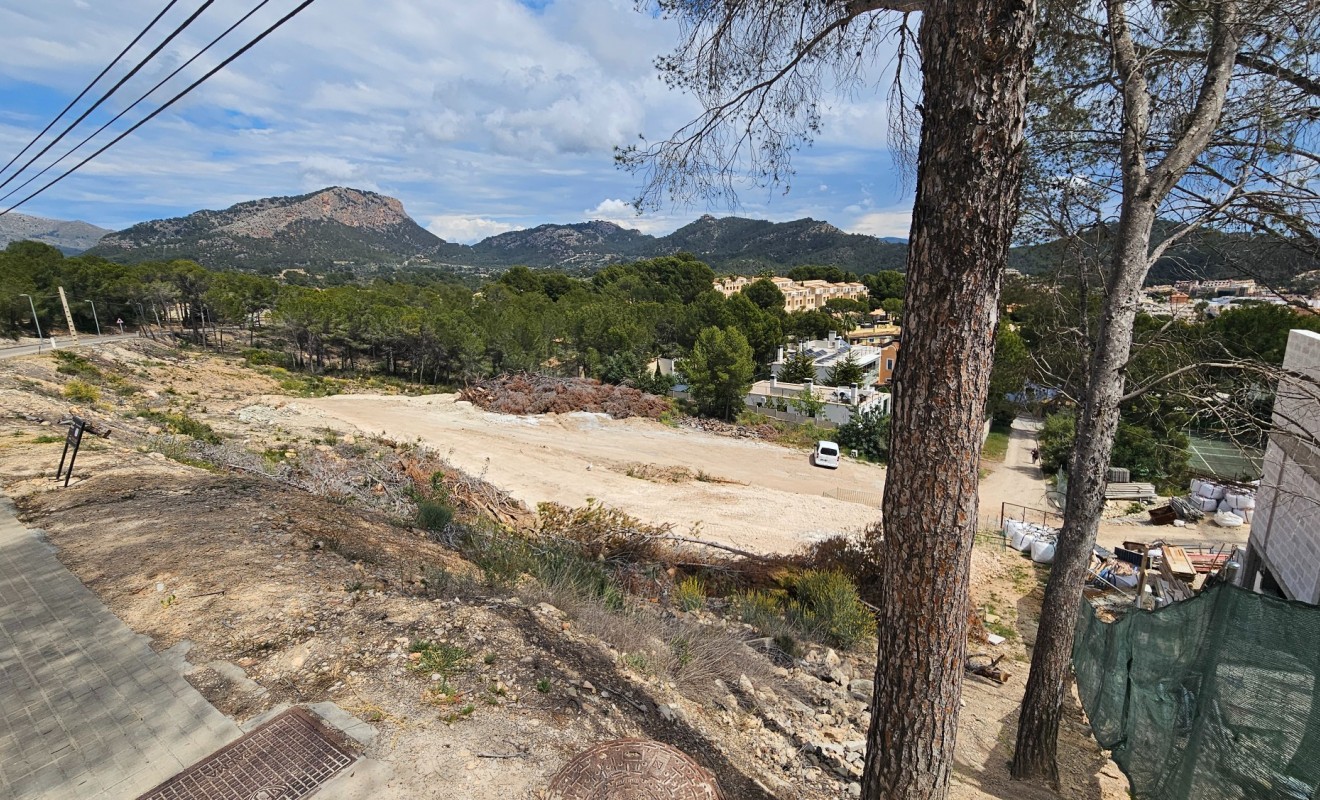 Nouvelle construction - Parcelle / Terrain - Andratx - Mallorca