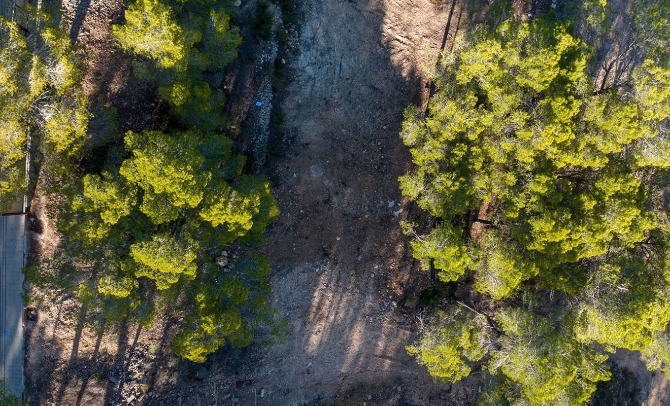 Nouvelle construction - Parcelle / Terrain - Andratx - Mallorca