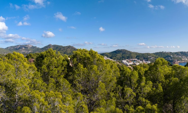 Nouvelle construction - Parcelle / Terrain - Andratx - Mallorca