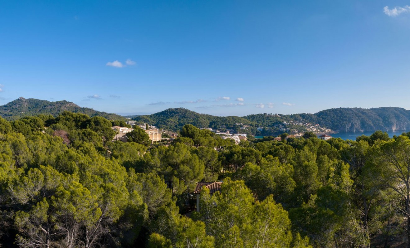 Nieuwbouw woningen - Perceel / Terrein - Andratx - Mallorca