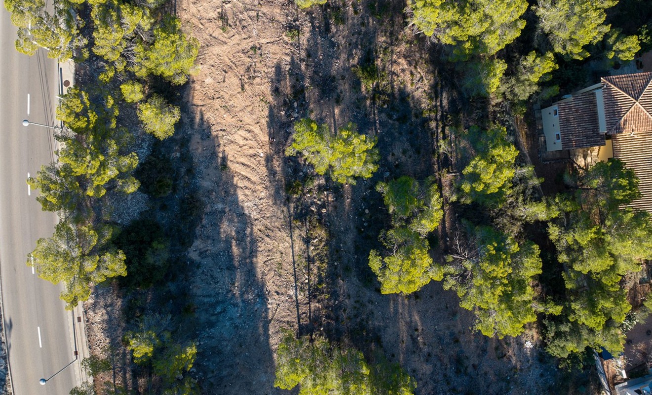 Nieuwbouw woningen - Perceel / Terrein - Andratx - Mallorca