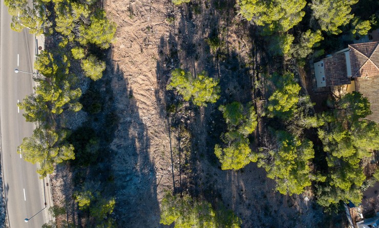 Nieuwbouw woningen - Perceel / Terrein - Andratx - Mallorca