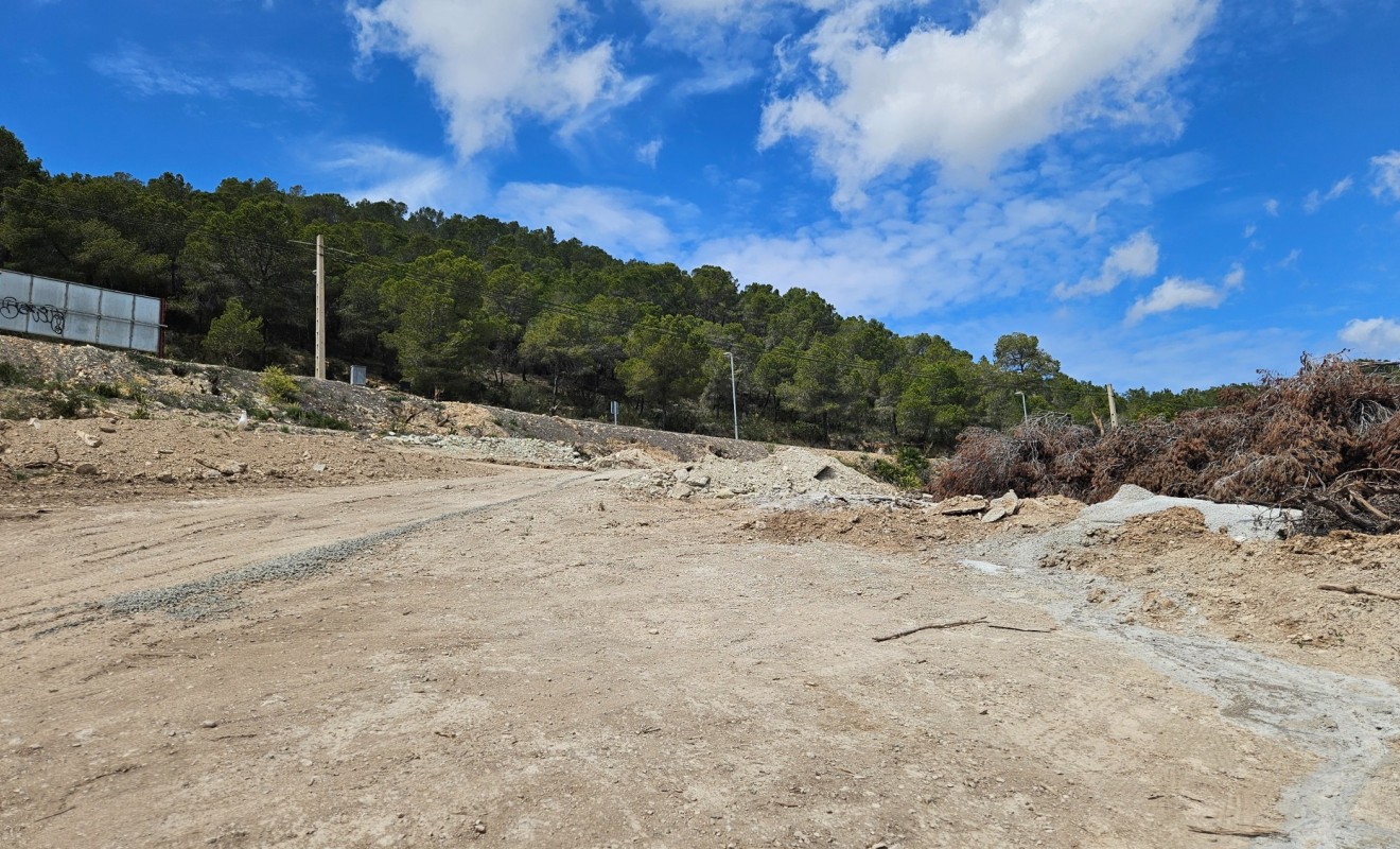 Nieuwbouw woningen - Perceel / Terrein - Andratx - Mallorca