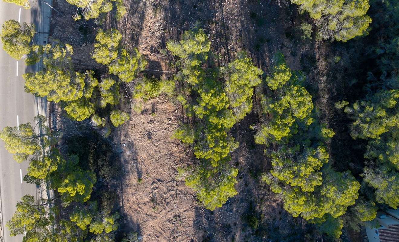 Nouvelle construction - Parcelle / Terrain - Andratx - Mallorca