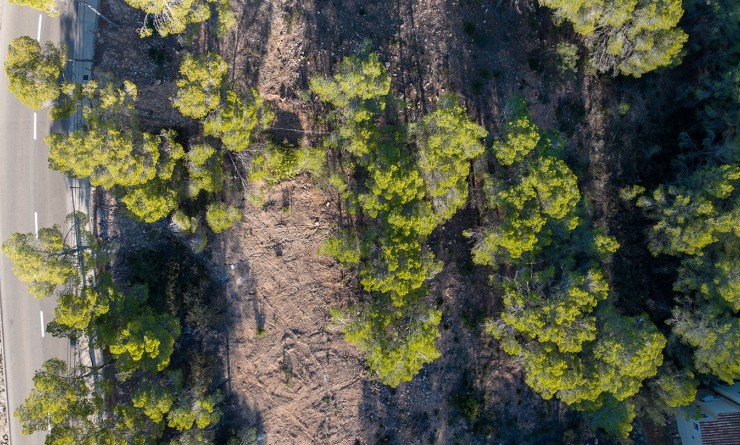 Nouvelle construction - Parcelle / Terrain - Andratx - Mallorca