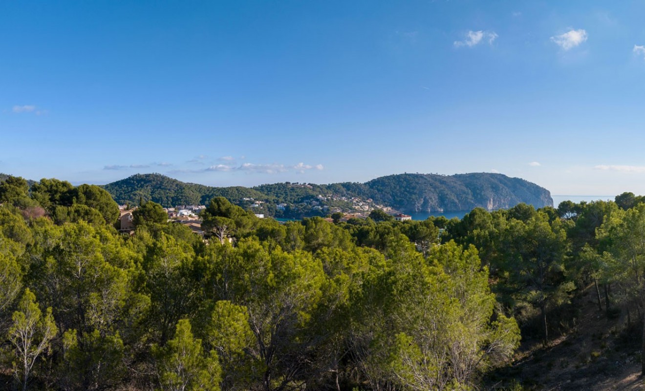 Nouvelle construction - Parcelle / Terrain - Andratx - Mallorca