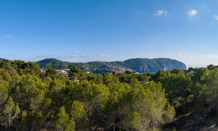 Nouvelle construction - Parcelle / Terrain - Andratx - Mallorca