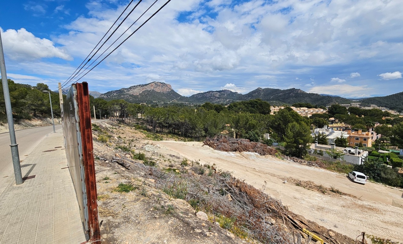 Nouvelle construction - Parcelle / Terrain - Andratx - Mallorca