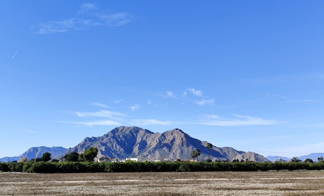 Sale - Villa - El Mudamiento