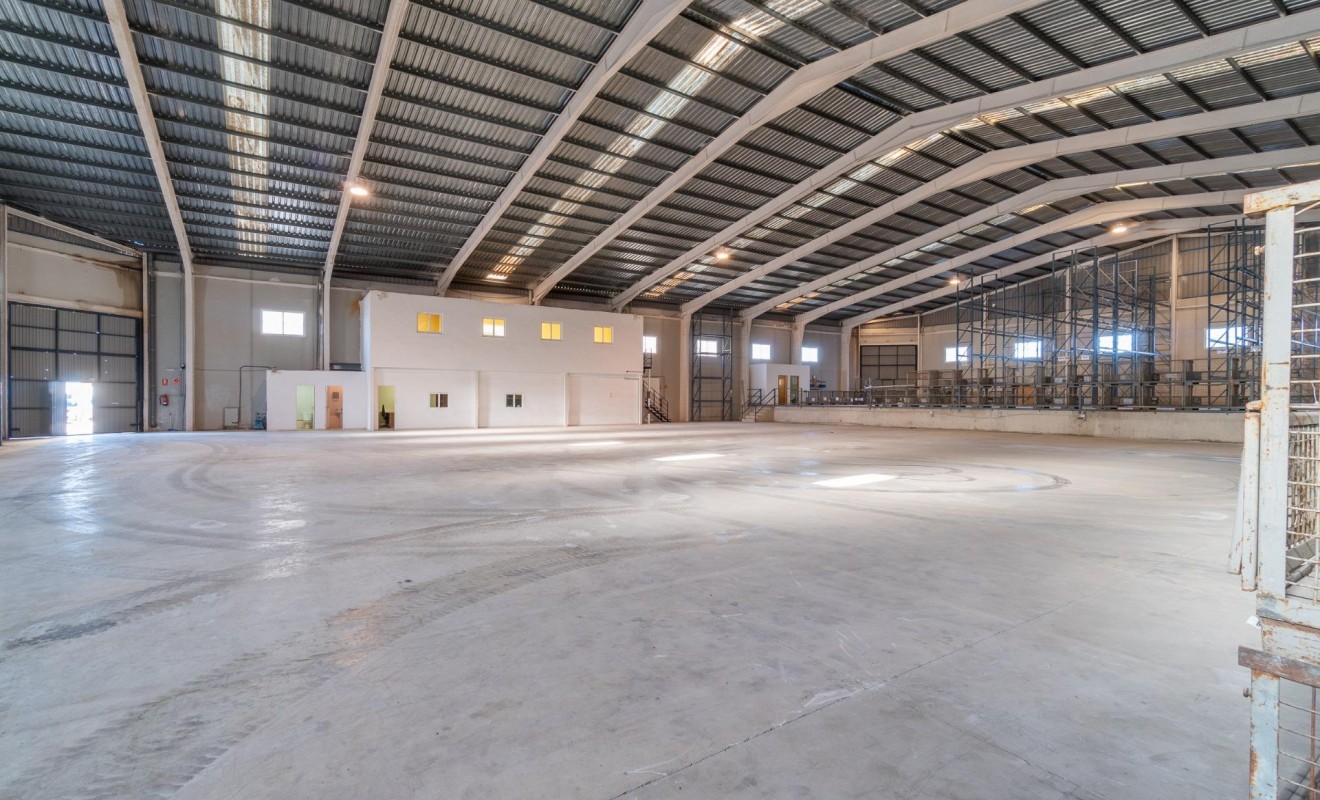 Location longue durée - Industrial unit - Pilar de la Horadada - Polígono industrial Cañada de Práez