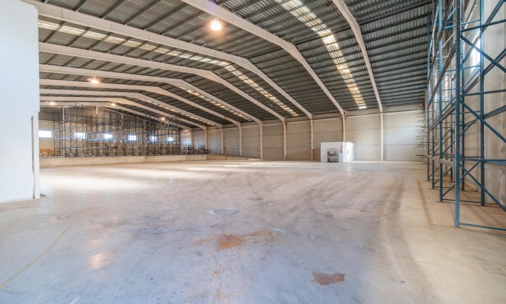 Location longue durée - Industrial unit - Pilar de la Horadada - Polígono industrial Cañada de Práez