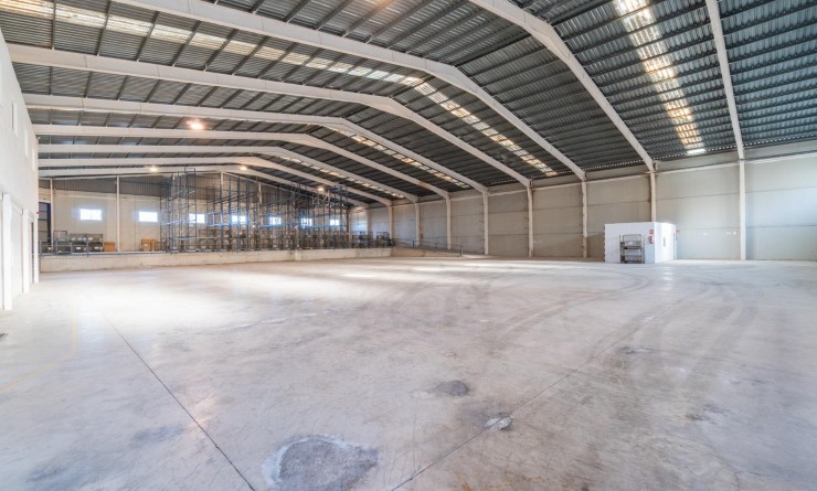 Location longue durée - Industrial unit - Pilar de la Horadada - Polígono industrial Cañada de Práez