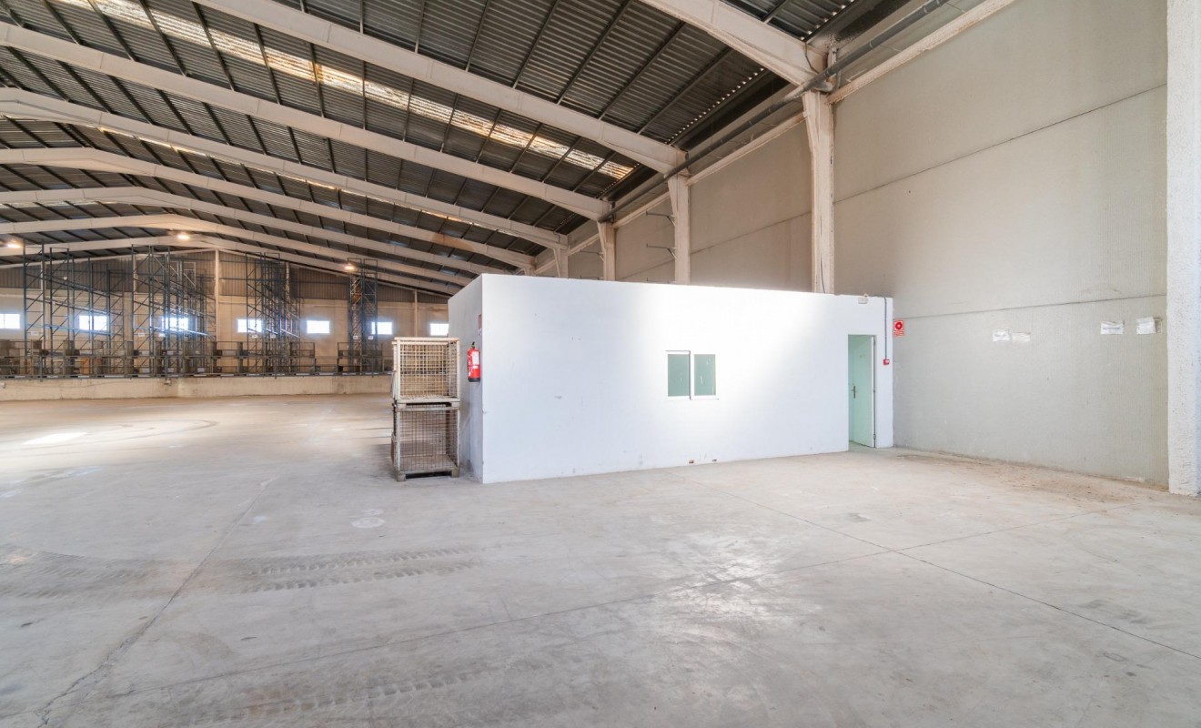 Location longue durée - Industrial unit - Pilar de la Horadada - Polígono industrial Cañada de Práez