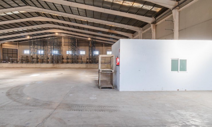 Location longue durée - Industrial unit - Pilar de la Horadada - Polígono industrial Cañada de Práez